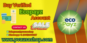 Buy Verified Ecopayz Account